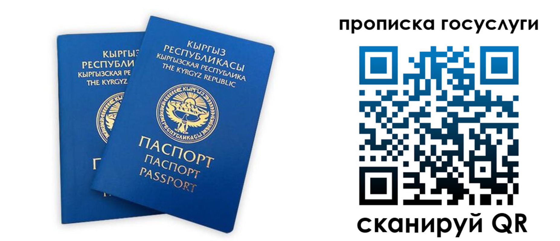 временная регистрация госуслуги в Луге